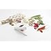 Mini Alligator - Garlic chopper