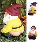 Squatting Garden Gnome