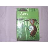 Ants