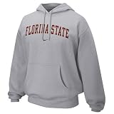 Nike Florida State Seminoles (FSU) Ash Arch Lettering Hoody Sweatshirt