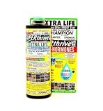 Outdoor Living : SUPERthrive - 16 oz / 1 pint