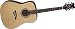 Dean Solid Top Dreadnaught Acoustic Guitar