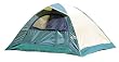 Texsport Brookwood Internal Frame Tent