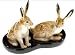 Pair of Hares Cruet Set - Porcelain Collectable Gift Idea!