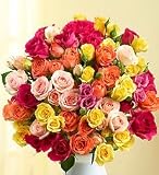50-100 Blooms of Assorted Spray Roses