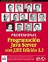 Programacion Java Server Con J2ee 1.3/ Java Server Programing J2ee 1.3 (Spanish Edition)