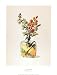 Snapdragon Scent Beautiful MUSEUM WRAP CANVAS Print with Added BRUSHSTROKES Lisa Danielle 12x16