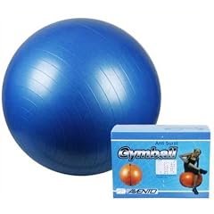 Gymnastikball 65 cm in Farbe Blau mit Pumpe