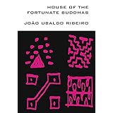 house of the fortunate buddhas brazilian literature