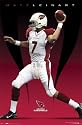 Arizona Cardinals (Matt Leinart) Sports Poster Print - 24" X 36"