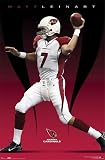 Arizona Cardinals (Matt Leinart) Framed Sports Poster Print - 24