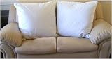 MARRIKAS 3 Pound Quilted Feather/Down EURO 26x26 Pillow Form PAIR