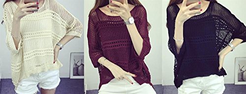 【PALERO・パレロ】選べる３色 レディース 春 夏 秋 UV対策 透かし編み ワイドシルエット ドルマンスリーブ 半袖 レース プルオーバー トップス フリーサイズ