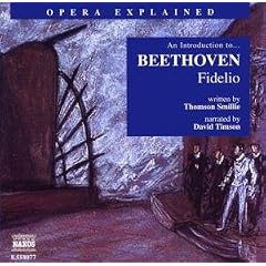 Introduction to Fidelio
