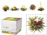 Teaposy Flowering Tea Teaposies Teaposy Medley Teaposies