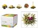 Teaposy Flowering Tea Teaposies Teaposy Medley Teaposies