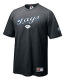 Toronto Blue Jays Nike Team Practice Short Sleeve