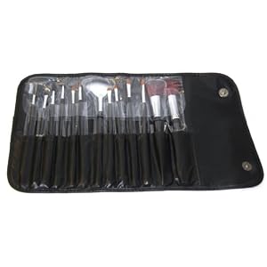 13 Piece Makeup Brush Set and Case review