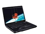 Toshiba Satellite L300D-24D 39,1 cm (15,4 Zoll) Notebook (AMD Athlon 64 X2 QL-64  2.1GHz, 4GB RAM, 320GB HDD, ATI Radeon 3100, DVD+- DL RW, Vista Home Premium)
