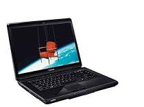 Toshiba Satellite L300D-24D 39,1 cm (15,4 Zoll) Notebook (AMD Athlon 64 X2 QL-64  2.1GHz, 4GB RAM, 320GB HDD, ATI Radeon 3100, DVD+- DL RW, Vista Home Premium)