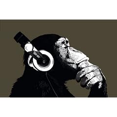 Poster The Chimp - stereo - Gr��e 61 x 91,5 cm - Maxiposter