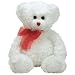 Ty Classic Plush - Hollibear the Bear