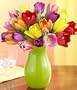 20 Multi-Colored Valentine's Tulips