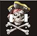 Art Plates - Pirate Switch Plate - Double Toggle