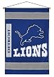 NFL Detroit Lions - Football Team Logo Wall Hanging/D&eacute;cor Accent