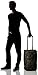 Dakine Carry On Roller 40L