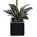 House of Silk Flowers Artificial 17-Inch Phalaenopsis Orchid, Mini, White