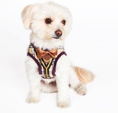 Dogs of Glamour Dapper Boy Suspenders Harness, Small, Brown
