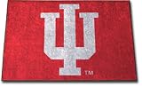 Indiana Hoosiers Starter Indoor / Outdoor Rug