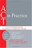 ACT in Practice: Case Conceptualization in Acceptance & Commitment Therapy (Professional)