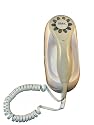 Oster Professional 76932-710 Wall Mount Hair Dryer