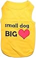 Parisian Pet Small Dog Big Heart Dog T-Shirt, XX-Small