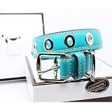 COACH Silver Grommets Leather Collar with Engraveable Charm 60143 Limited Edition – Silver/Teal Blue, Small (11″-13″) Review