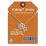 University of Illinois Wishing Earrings