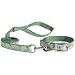 East Side Collection Pretty Paisley Dog / Cat Lead and Collar