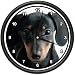 DACHSHUND ~Wall Clock~ dog pet dogs miniature mini gift