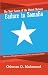 The Root Causes of the United Nations' Failure in Somalia: The Role of Neighboring Countries in the Somali Crisis