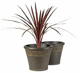 ACE Hardware - SOUTHERN 2 YANTIAN FPU - 448032 POLYURETHANE 2 PIECE PLANTER ASSORTMENT 13 &acute; ( PACK OF 4 ) - B0012MXWZA
