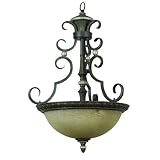 Buy Yosemite Home Decor F053D03LTSPLS Mariposa Three Light Fluorescent Foyer Pendant,... by Yosemite Home Decor