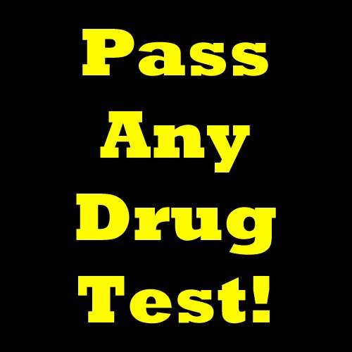 Pass Any Drug Test! Learn About Drug Testing And Drug Tests. Pass A Drug Test And Urine Drug Test Using These Tips On Passing A Drug Test, How To Pass A Drug Test And Pass Drug Test!