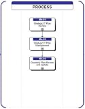 09c - Strategic IT Plan Review and Management