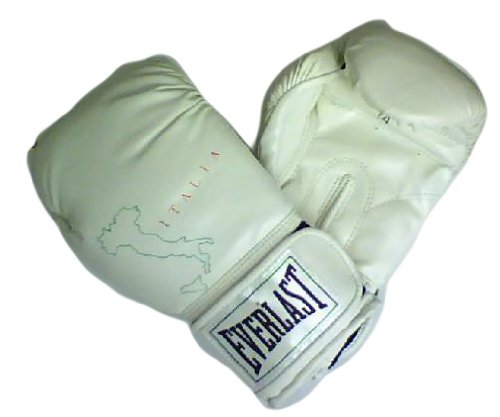 White Italia Design Everlast Pro Style Training Gloves 14 Oz. Hook & Loop