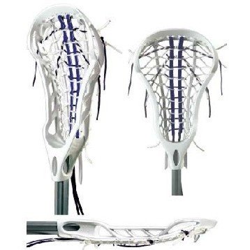 Cover image : Warrior Wildkat on Alloy Shaft