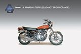 1/6 カワサキ 750RS (Z2) (キャンディ・ブラウン/オレンジ)