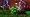 LEGO Batman 2 - DC Super Heroes (USK)