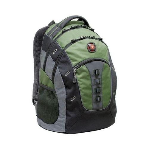 swissgear walking stick